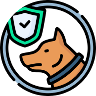Section1 icon